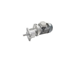 Roxell Мотор-редуктор 0,75 кВт-3х230/400В, 50Гц 03102068 - Фото