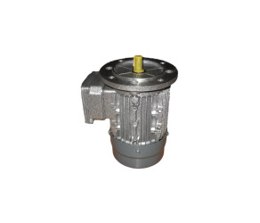 Roxell Двигун-B5-0,25kW-3x230400V-50Hz для електролебідки 11111978 - Фото