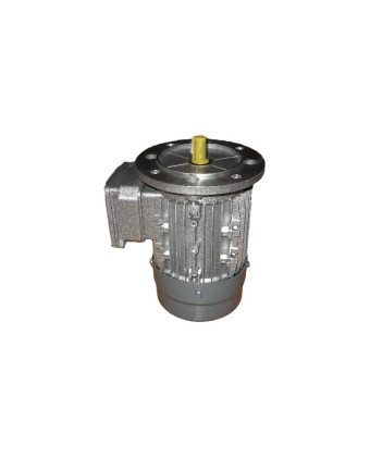 Roxell Двигун-B5-0,25kW-3x230400V-50Hz для електролебідки 11111978 - Фото