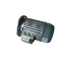 Roxell Мотор В5-055-кВт, 3х230/400В, 50Гц, 10204188 - Фото
