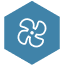 icon 4