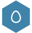 icon 9