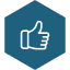 icon 6