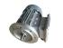 Roxell Мотор-B5-0.18KW-3X230/400V-50HZ для пересипання корму. 13601364