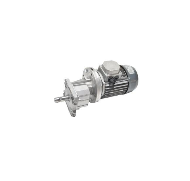 Roxell Мотор-редуктор 0,75 кВт-3х230/400В, 50Гц. 03102068